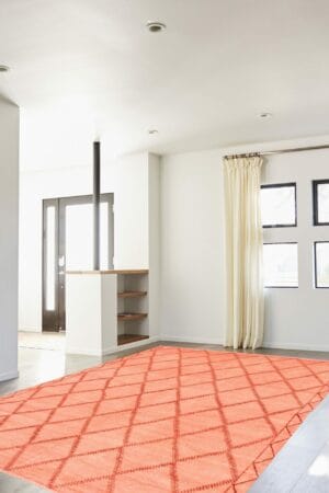 Omschrijving: Een oranje tapijt/vloerkleed in een woonkamer.