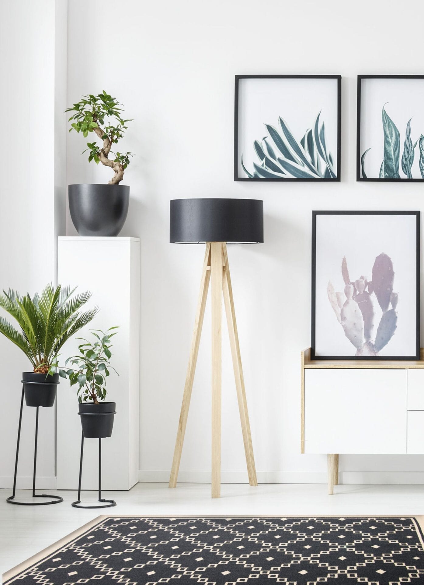 Moderne woonkamer met minimalistische inrichting, voorzien van een statieflamp, ingelijste plantenkunstwerken, potplanten op standaards en een vloerkleed met geometrisch patroon.