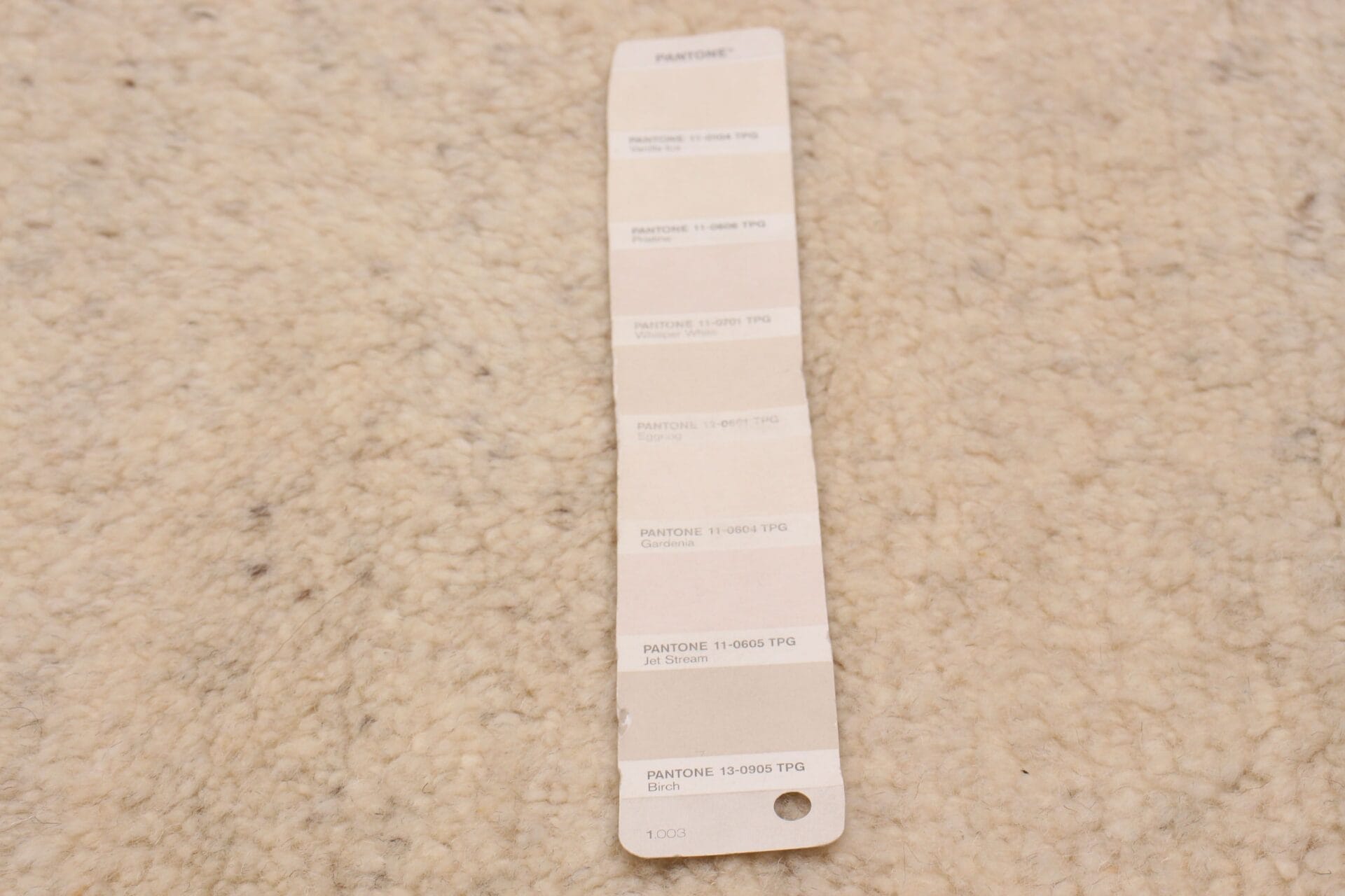 Op een beige vloerkleed ligt een Pantone-kleurenstalenboek opengeslagen. De stalen tonen verschillende tinten wit en lichtbruin, elk voorzien van unieke codes en kleurnamen.