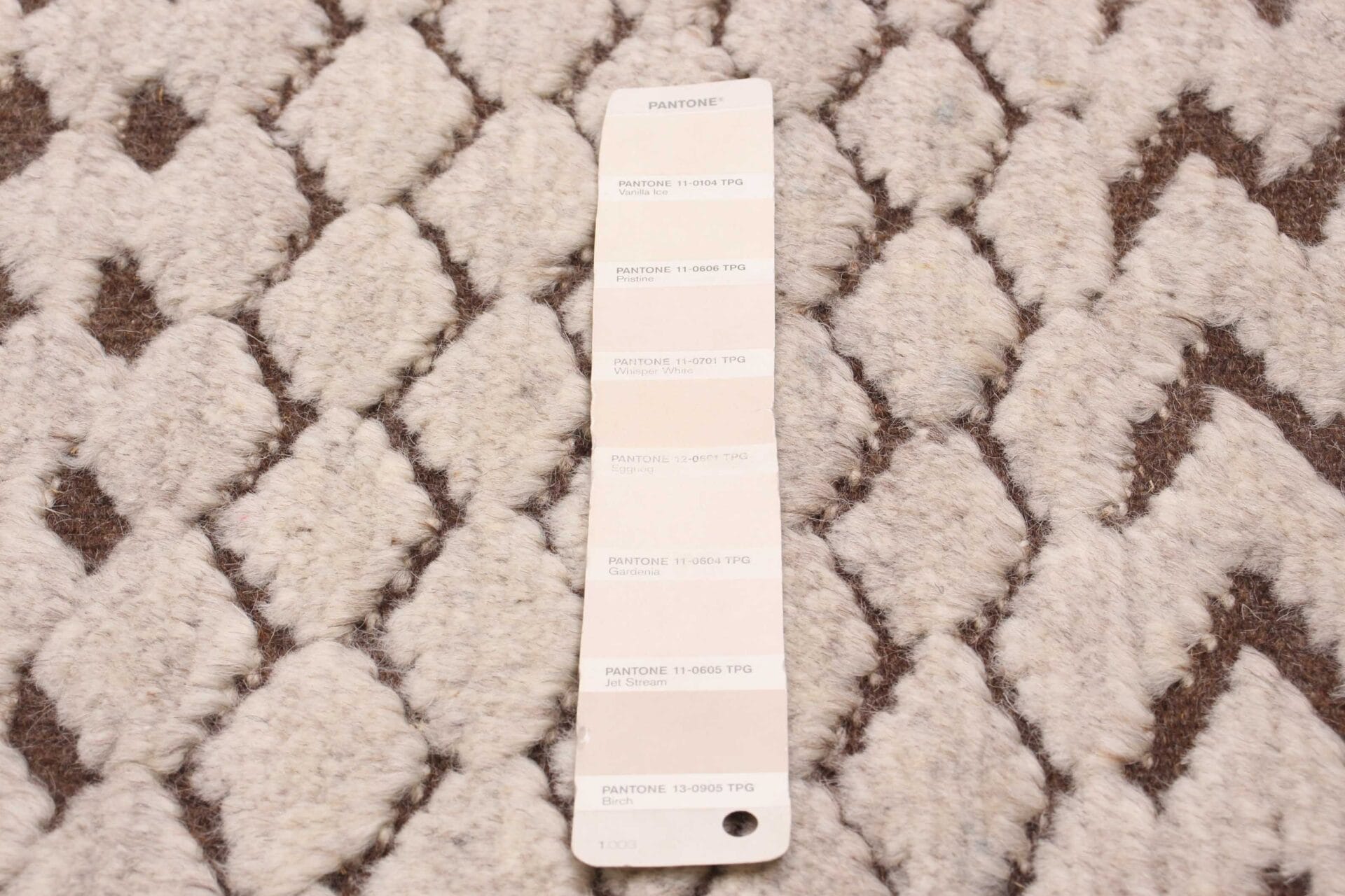 Een Pantone-kleurstaal met meerdere tinten weergegeven op een getextureerd vloerkleed met beige en bruine patronen.