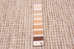 Een Pantone-kleurkaart met verschillende tinten beige en bruin, geplaatst op een getextureerd beige geweven tapijt.