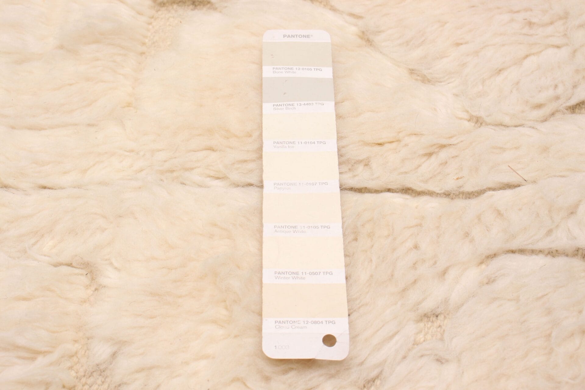 Een Pantone-kleurstaal met verschillende tinten crème en beige, gelegd op een gestructureerd, crèmekleurig tapijt.