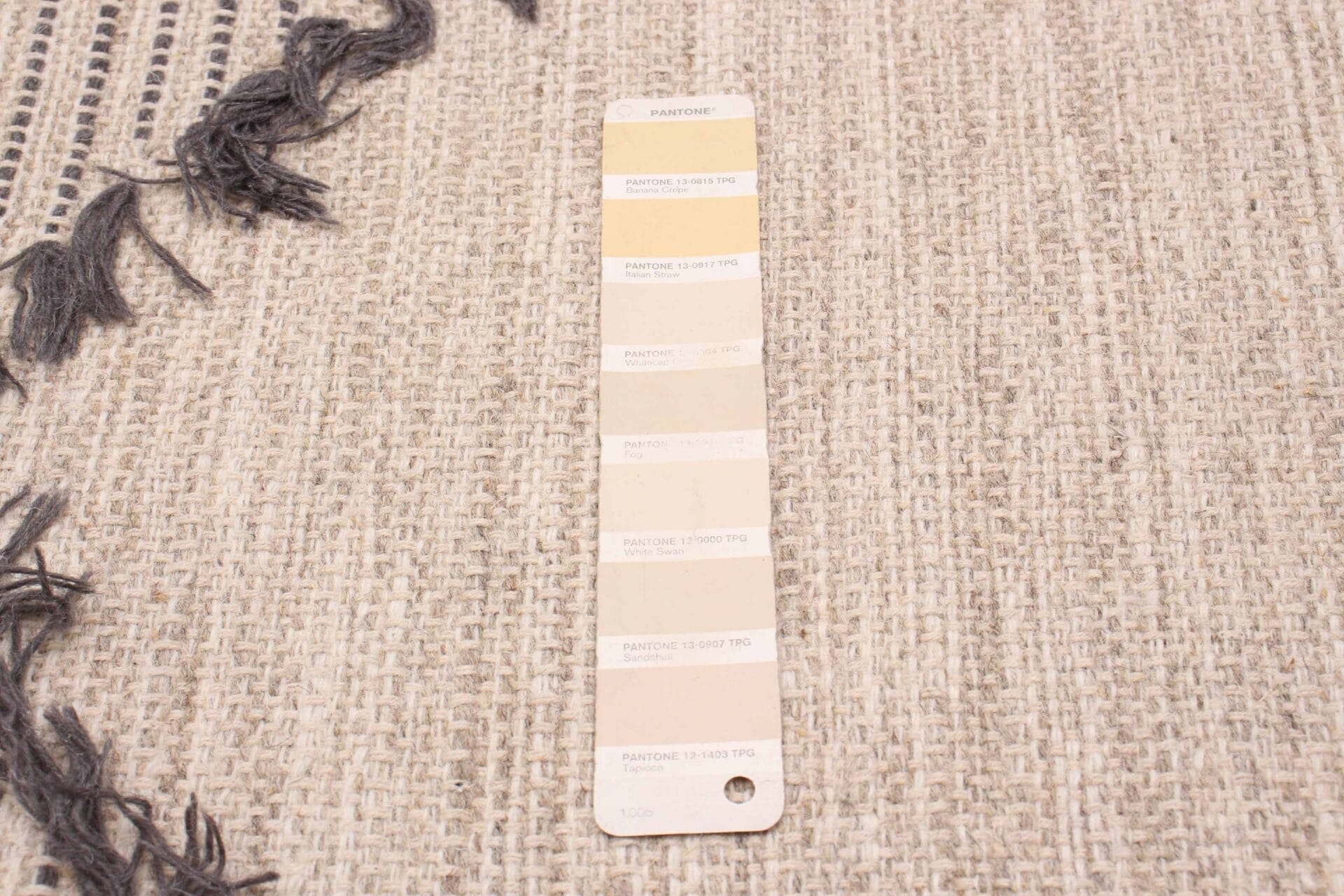 Een Pantone-kleurstaal met verschillende tinten beige ligt op een beige structuurstof met decoratieve grijze kwastjes aan de linkerkant, die lijkt op een prachtig vervaardigd tapijt.