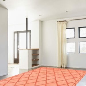 Omschrijving: Een oranje tapijt/vloerkleed in een woonkamer.