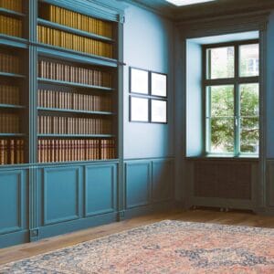 Een blauwe kamer met boekenplanken en een vloerkleed.