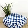 Een Marokkaanse voetenbank-op maat gemaakte geruite Ottomaanse-Marokkaanse zitzak in blauw en wit staat op een beige vloerkleed. Ernaast staat een groene potslangenplant tegen een witte muur.