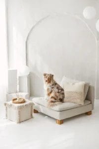 Een hond zit op een beige stoel in een minimalistische kamer met witte muren, een rond bijzettafeltje en decoratieve kussens.